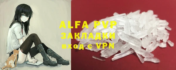 прущие крисы Тайга