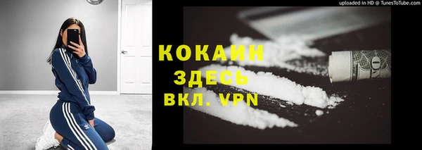дурь Тавда