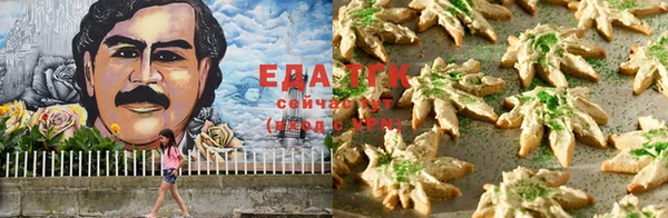 дурь Тавда