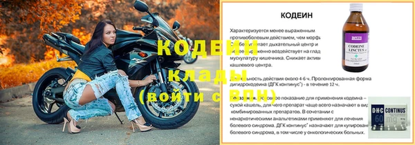 дурь Тавда
