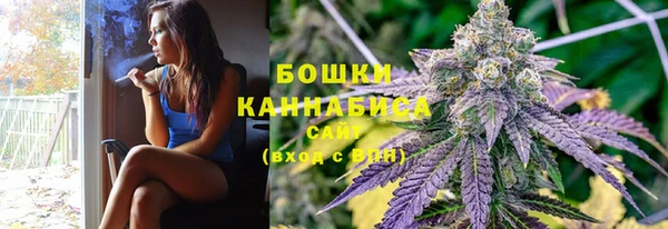прущие крисы Тайга