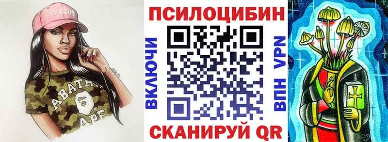 Псилоцибиновые грибы мицелий Купить закладки Змеиногорск